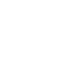 DOT TEAM